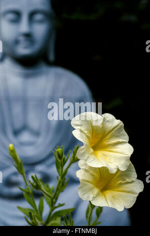 Gelbe Blumen in Detailschärfe im Vordergrund mit unscharfen Buddha-Statue im Hintergrund Stockfoto