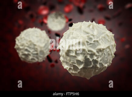 Gesunde menschliche rote und weiße Bloodcells in Nahaufnahme 3d Grafiken rendern Stockfoto