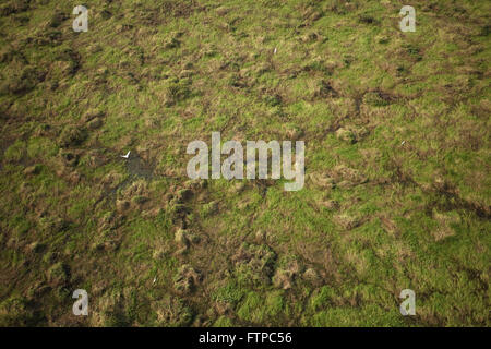 Luftaufnahme des Pantanal-Region des Flusses Paraguay in der Nähe der Stadt Corumba - MS Stockfoto