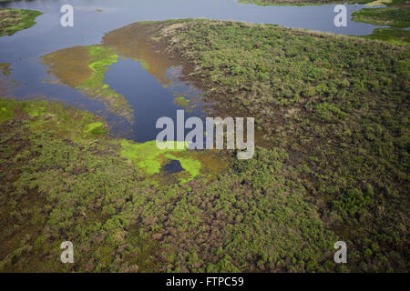 Luftaufnahme des Pantanal-Region des Flusses Paraguay in der Nähe der Stadt Corumba - MS Stockfoto