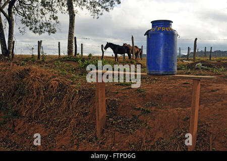 Messing-Milch auf Feldweg und Pferde im Hintergrund - ländliche Stadt neue Resende Stockfoto