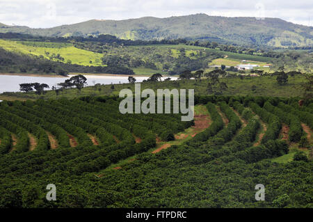 Kaffeeplantage in Hof und Furnas Damm im Hintergrund - MG Stockfoto