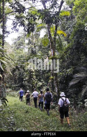 Ökotouristen auf dem richtigen Weg in der natürlichen Reserve Park durchdringenden am oberen Rand der Paranapiacaba Stockfoto