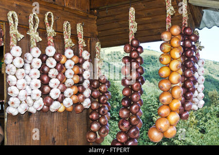 Commerce-Zwiebel und Knoblauch in der Zeltstadt Stockfoto