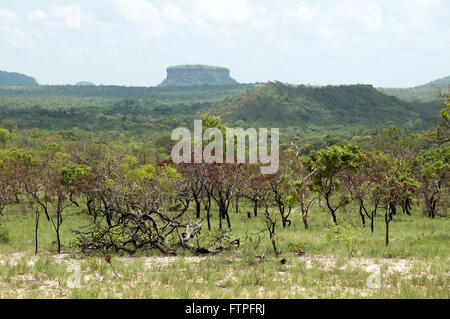 Blick auf Vegetation und Rock Formation in den Nationalpark Chapada Das Mesas Stockfoto
