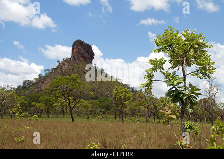 Vegetation und Rock Formation in den Nationalpark Chapada Das Mesas anzeigen Stockfoto