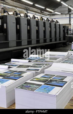 Seiten des gedruckten Buches im offset Stockfoto