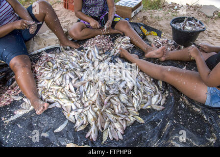 Frauen Reinigung frisch Fisch - Azeda Strand Lagune - Süd Küste des Staates Stockfoto