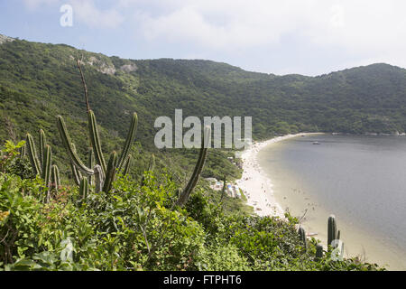 Kaktus-Hügel im Backofen Forno Beach im Hintergrund - State Park an der Costa Del Sol Stockfoto