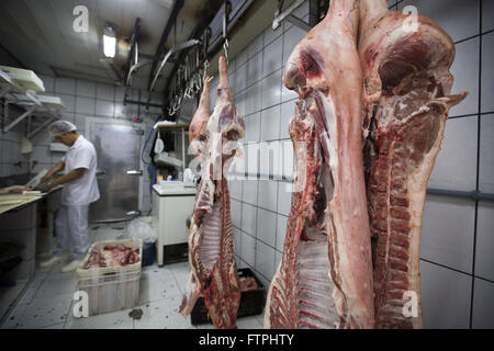 Schweine, die für Verkauf in Metzgereien Markthalle - Innenstadt Stockfoto