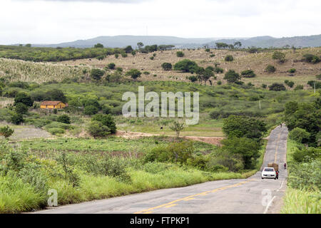 Cerrado Vegetation in der EG-292 Stockfoto