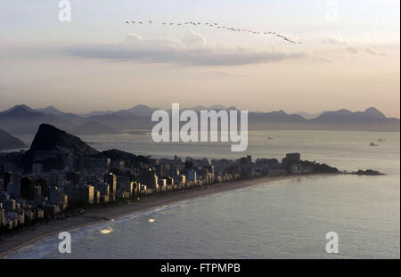 Vista de Cima da Praia de Ipanema e Leblon Ao amanhecer Stockfoto