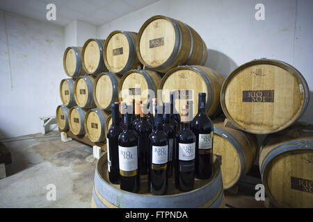 Hölzerne Fässer mit Wein aus Trauben Plantage bewässert hergestellt Stockfoto