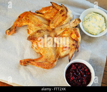 Huhn-Tabak auf dem Papier mit Cranberry und weiße sauce Stockfoto