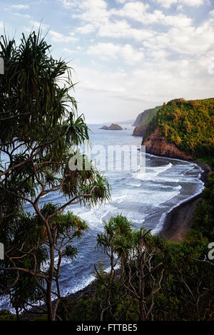 Abendlicht auf den üppigen senkrechten Felswänden entlang dem North Shore Kohala auf der Big Island von Hawaii. Stockfoto