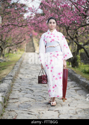 Junge (asiatische / Caucasian) Japanerin im Yukata mit Kirschblüten im Nakijin Schloss, Okinawa Stockfoto