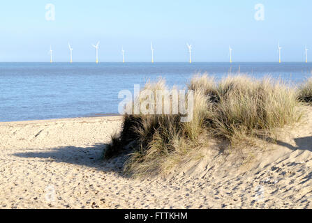 Offshore-Windpark Scroby Sands vom Strand von Caister-sur-mer, Great Yarmouth, Norfolk, England Stockfoto