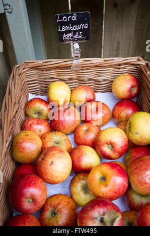 Lord Lambourne Apfelkorb für Verkauf in einem englischen Farm Shop Stockfoto