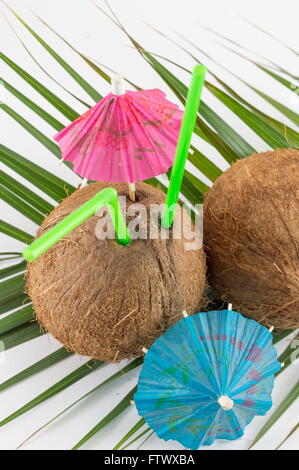 Frische Kokosnuss Cocktails mit cocktail Regenschirm auf Kokosnussblättern platziert Stockfoto