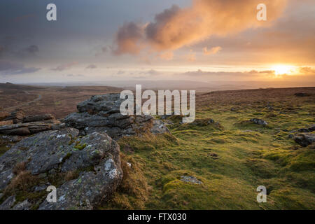 Sonnenaufgang am Rippon Tor in Dartmoor, Devon, England. Stockfoto