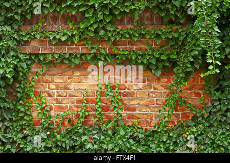 Gemauerten Zaun grün Stockfoto