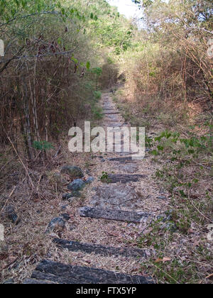 Trail auf Berg Stockfoto