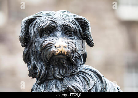 Eine Statue von Greyfriars Bobby in Edinburgh, Schottland.  Bobby war ein Skye Terrier, der angeblich 14 Jahre Bewachung des Grabes Stockfoto