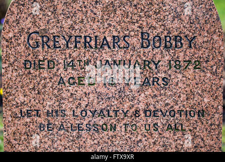 EDINBURGH, Schottland - 9. März 2016: Eine Nahaufnahme des Grabes von Greyfriars Bobby Greyfriars Friedhof in Edinburgh, auf 9. Ma Stockfoto