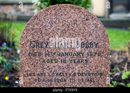 EDINBURGH, Schottland - 9. März 2016: Eine Nahaufnahme des Grabes von Greyfriars Bobby Greyfriars Friedhof in Edinburgh, auf 9. Ma Stockfoto