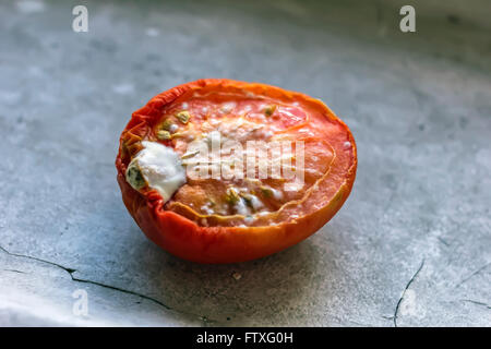 Die Hälfte der reife Tomate mit Schimmel auf graue backgruond Stockfoto