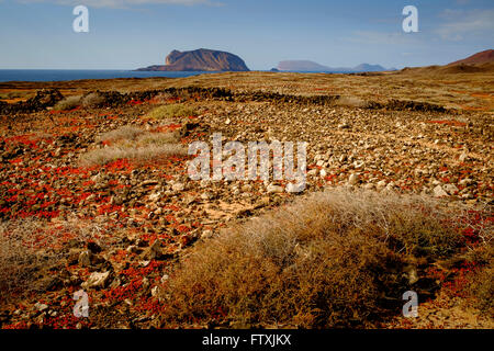 La Graciosa Landschaft, Montaña Clara im Hintergrund, la Graciosa, Kanaren, Spanien, Europa Stockfoto