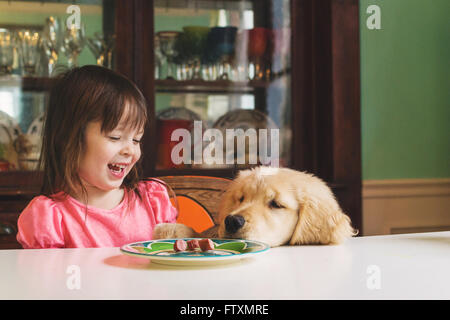 Golden Retriever Welpe Hund betteln Mädchen für Lebensmittel Stockfoto