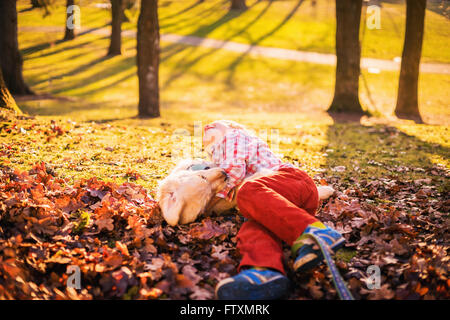 Junge wälzen im Herbstlaub mit golden Retriever Welpe Hund Stockfoto