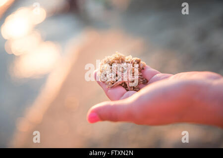 Zarte Frauenhand holding Handvoll Sand und Miniatur Seestern, Griechenland Stockfoto