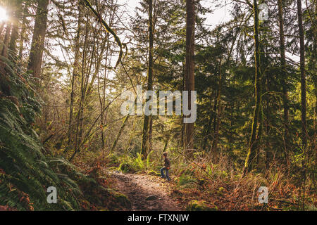 Junge zu Fuß durch den Wald Stockfoto