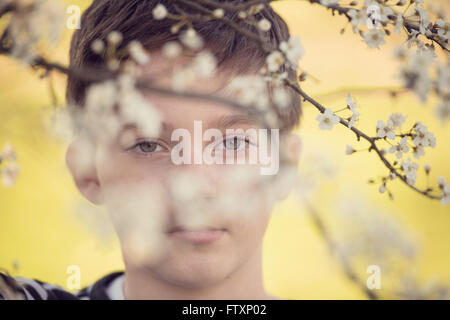 Bildnis eines Knaben hinter einer Kirschblüte Zweig Stockfoto