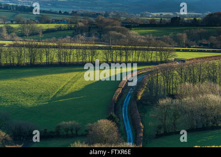 Landschaft in England bei Sonnenuntergang, Blick vom Hil oben. Ackerland und Baumbestand, einsame Straße. Stockfoto