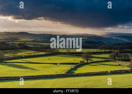Ackerland und intensivsten mit stürmischen Wolken bei Sonnenuntergang mit strömendem Regen rollt. Blick vom Hügel, lange Schatten. Stockfoto