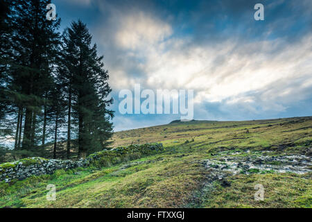 Panoramablick auf Moorland in Devon, UK mit dramatischer Himmel Stockfoto