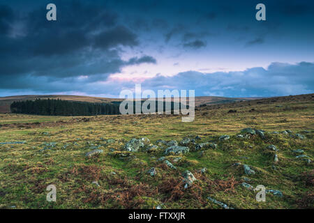 Dramatische Wolken über wilden Moorlandschaft in Devon, Großbritannien Stockfoto