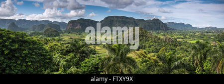 Panoramablick über die Landschaft mit Mogotes in Vinales Tal, Kuba Stockfoto