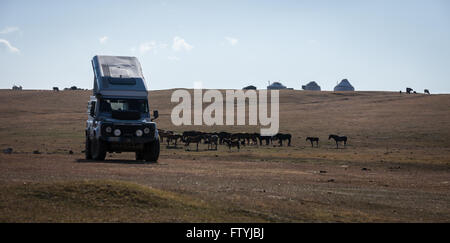 Kirgisistan, Kirgistan, Asien, eine einsame Reise, Verteidiger in der Steppe mit Pferden. Stockfoto