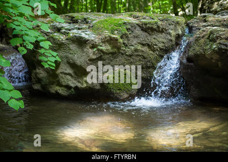 Kleiner Wasserfall im Wald mit Sonne durch Wasser. Stockfoto