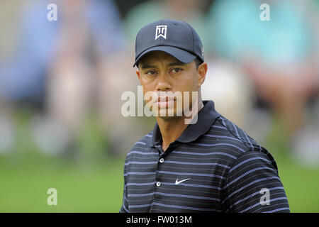 Decatur, Georgia, Vereinigte Staaten von Amerika. 26. September 2009. Tiger Woods (USA) am fünften Loch Loch während der dritten Runde der PGA Tour Championship die Abschlussveranstaltung des FedEx Cup 2009 im East Lake Golf Club am 26. September 2009 in Decatur, Georgia ZUMA Press/Scott A. Miller © Scott A. Miller/ZUMA Draht/Alamy Live News Stockfoto