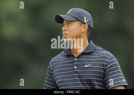 Decatur, Georgia, Vereinigte Staaten von Amerika. 26. September 2009. Tiger Woods (USA) am zweiten Loch während der dritten Runde der PGA Tour Championship die Abschlussveranstaltung des FedEx Cup 2009 im East Lake Golf Club am 26. September 2009 in Decatur, Georgia ZUMA Press/Scott A. Miller © Scott A. Miller/ZUMA Draht/Alamy Live News Stockfoto