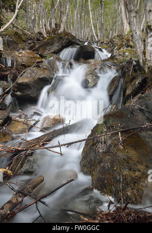 Schwall am Berghang Stockfoto