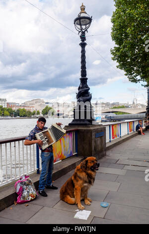 Musiker, spielt Akkordeon - London, England Stockfoto