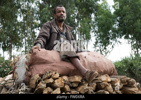 Meki Flussdelta, Ziway, Äthiopien, Oktober 2013 Shambal Dembel, 39, mit Brennholz auf den Markt zu verkaufen. Stockfoto