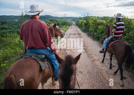 Vinales Tal, Kuba - 24. September 2015: Lokale Cowboys Reiten in Latiums Straße zu befreien. In vielen Bereichen sind Pferde nur tr Stockfoto