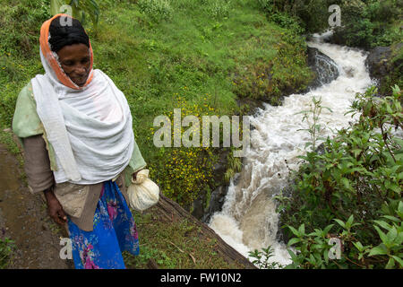 Muhe Dorf, Gurage, Äthiopien, Oktober 2013: eine Frau kreuzt einem schnell fließenden Bach auf einer Brücke aus einem Baumstamm Wacholder.    Foto von Mike Goldwater Stockfoto